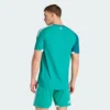 Camiseta Adidas  Irlanda del Norte 26 Home Auténtica-
