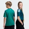 Camiseta Adidas Niños Irlanda del Norte 26 Home Niños-