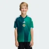 Camiseta Adidas Niños Irlanda del Norte 26 Home Niños-