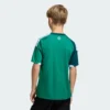 Camiseta Adidas Niños Irlanda del Norte 26 Home Niños-