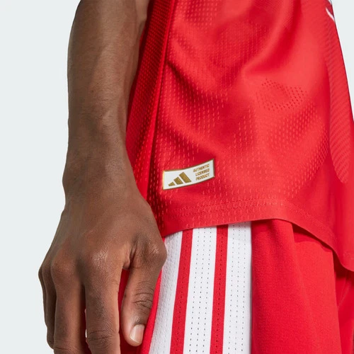 Camiseta Adidas  Gales 26 Home Auténtica-