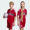 Camiseta Adidas niños Gales 26 Home Kids-