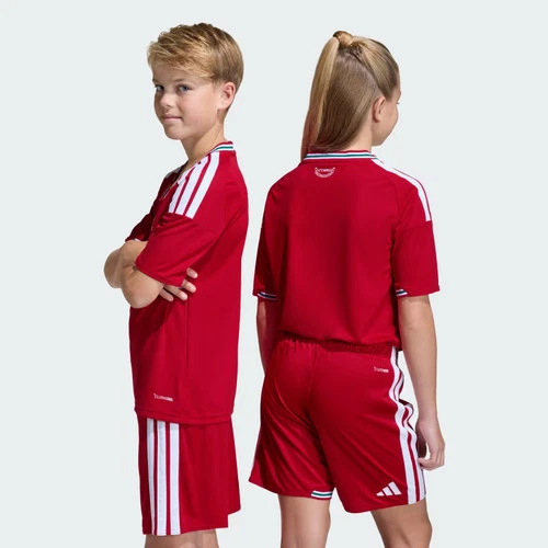 Camiseta Adidas niños Gales 26 Home Kids-
