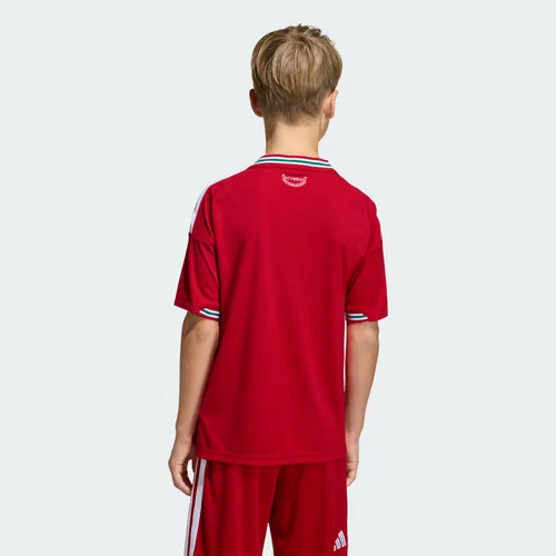 Camiseta Adidas niños Gales 26 Home Kids-