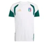 Camiseta de entrenamiento  Italia 26 Tiro para hombre-