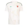 s-l500-3233.webp Camiseta Adidas Gales 26 Visitante-