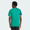 Camiseta Adidas  Irlanda del Norte 26 Home-
