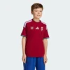 Camiseta Adidas Niños Hungría 26 Home Niños-