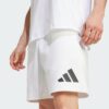 Z.N.E. Pantalones cortos-