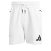 Z.N.E. Pantalones cortos-