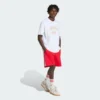 FIREBIRD Engineered Stripes Shorts-