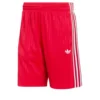 FIREBIRD Engineered Stripes Shorts-