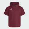 Sudadera con capucha de manga corta Adidas Dugout para hombre (género neutro)-