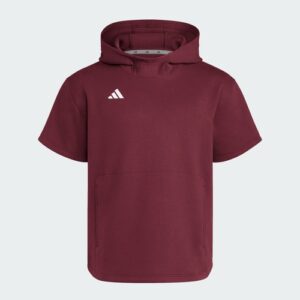 adidas men Dugout Short Sleeve Hoodie (Gender Neutral)