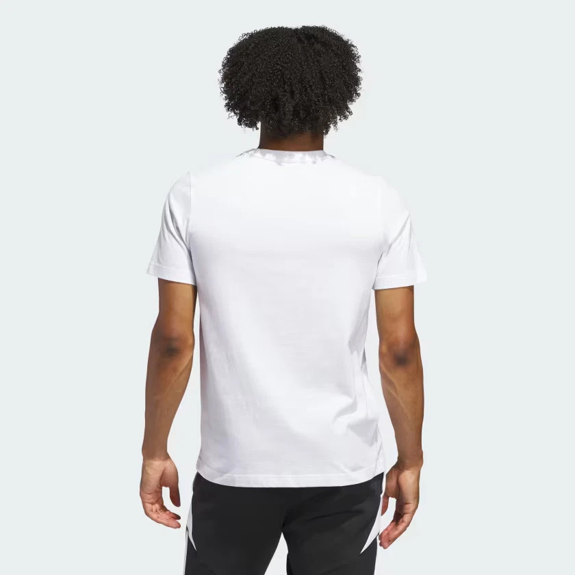 https://i.ebayimg.com/images/g/J8cAAeSw-KtqSS5p/s-l1600.webp