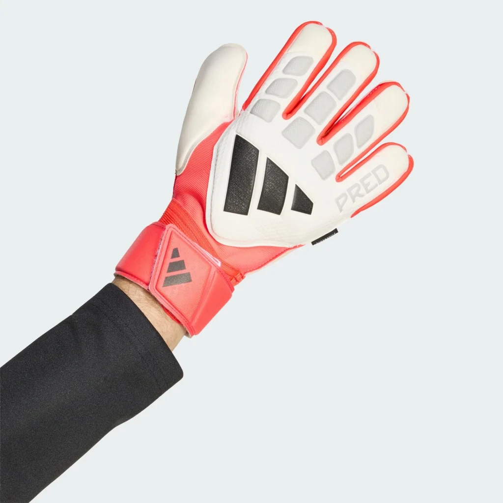 https://i.ebayimg.com/images/g/f5QAAeSwTbZqqtlf/s-l1600.webp